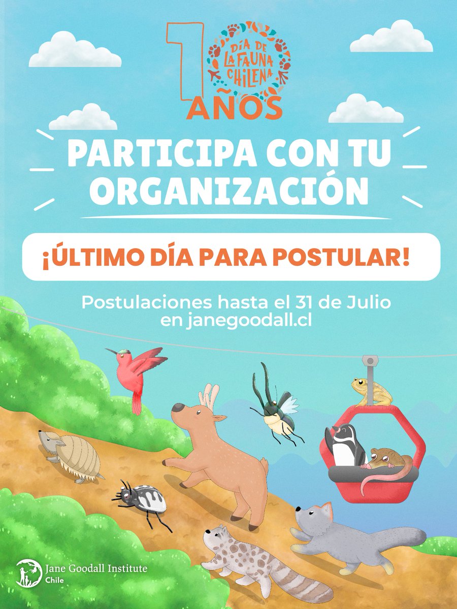 Fundación Jane Goodall Institute 🇨🇱 tweet media