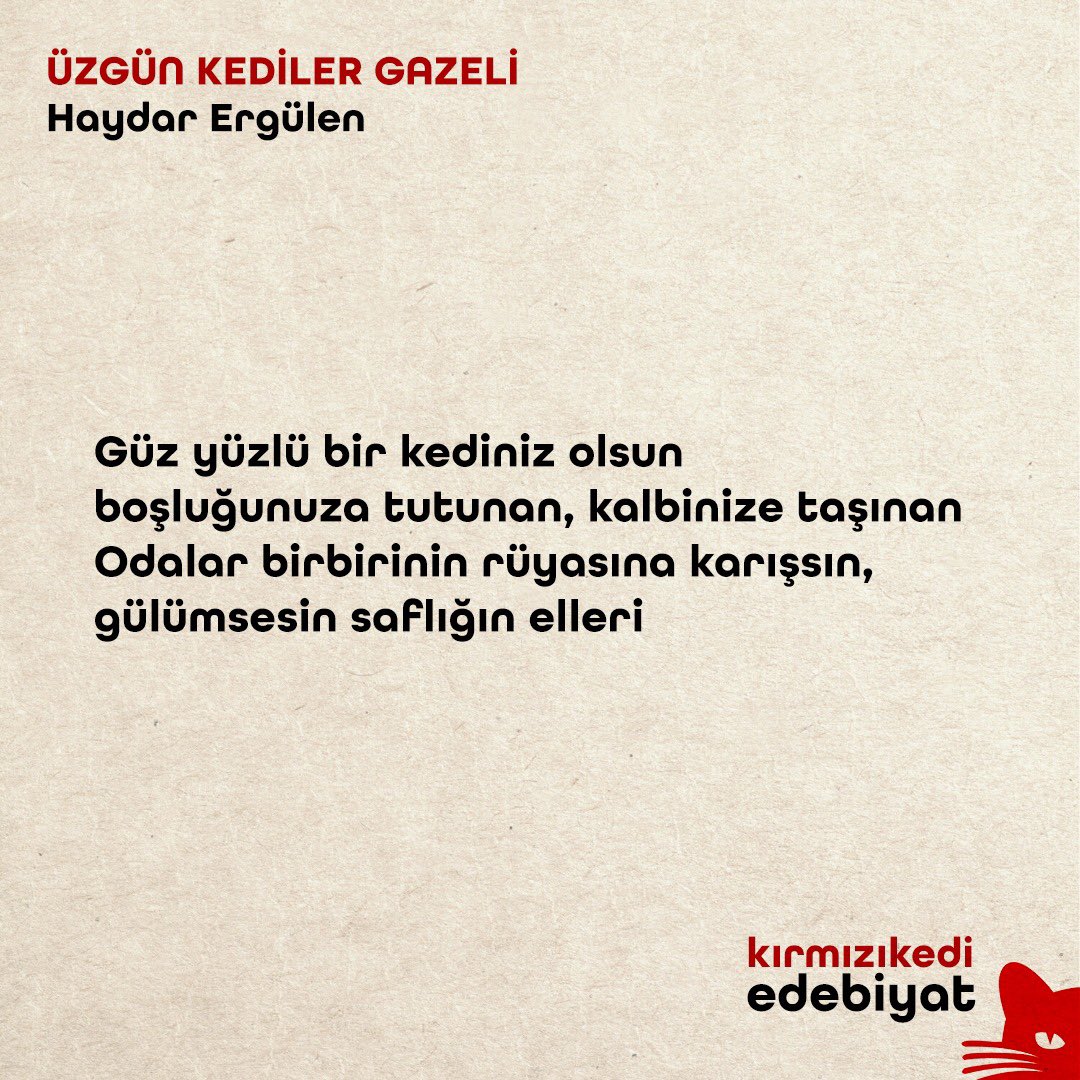 Dünya Kediler Günü kutlu olsun! 

#kırmızıkediedebiyat #nekedisiznekitapsız #dünyakedilergünü