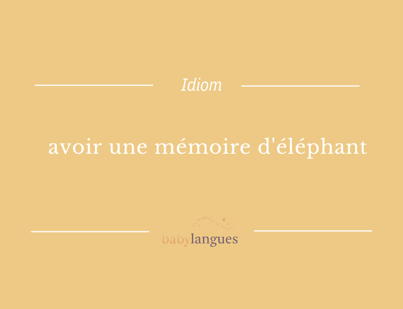 babylangues's tweet photo. It's time for another idiom! This one is similar to an idiom in English. 

In French, it refers to someone who has a good memory (like the English phrase, "an elephant never forgets"). 🐘

Have you heard this one before? 🧐

#elephant #learnfrench #werehiring #france #memory https://t.co/a7Bg4uMLBY