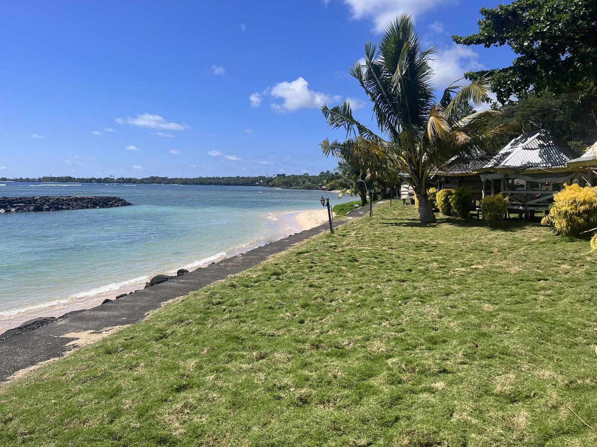 BigAfroDaddy's tweet photo. Swam with the turtles this morning with my sis @Weeda_Queen10 at Vacation Beach Fales in Savaii, the other island of Samoa. 80WST per night, about  $45-$50 Aussie! 

Old mate turtle &amp; friends were so amazing and let us even give them a bit of a rub down. 

#samoa #holidays https://t.co/LYOl8S5Bf8