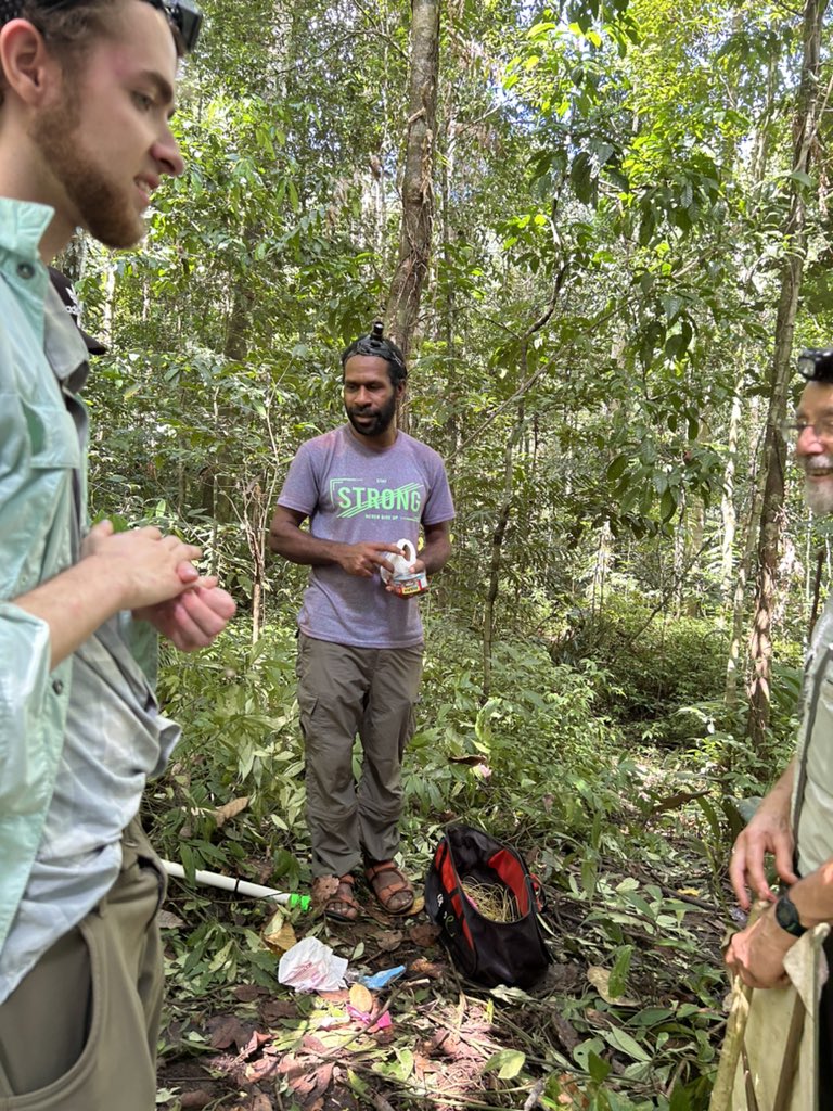 The Ants of the World Project tweet media