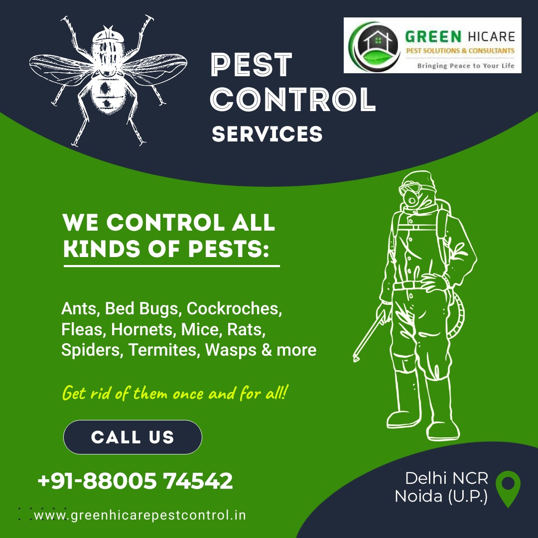 GREEN HICARE PEST CONTROL SERVICE
Visit Us:- greenhicarepestcontrol.in
Mail Us:- greenhicare@gmail.com
Contact Us:- +91-088005 74542
#greenhicarepestcontrol #pestcontrol #pestcontrolservice #pest #termitecontrol #pestmanagement #bedbugs #lizard #lizards #lizardofinstagram