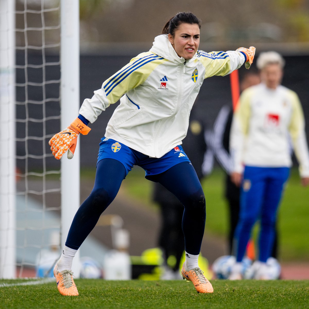 Svensk Fotboll tweet media