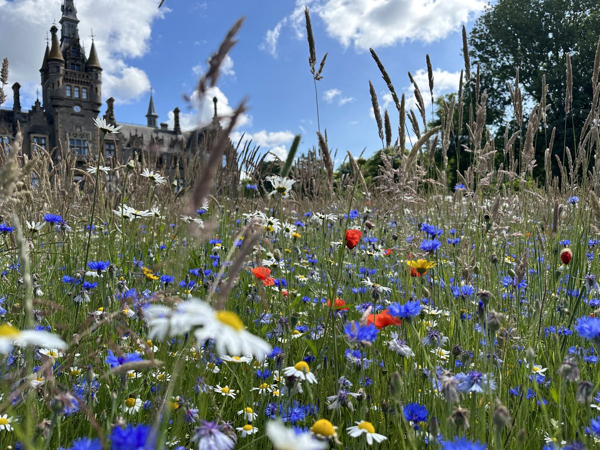 Morgan Academy tweet media