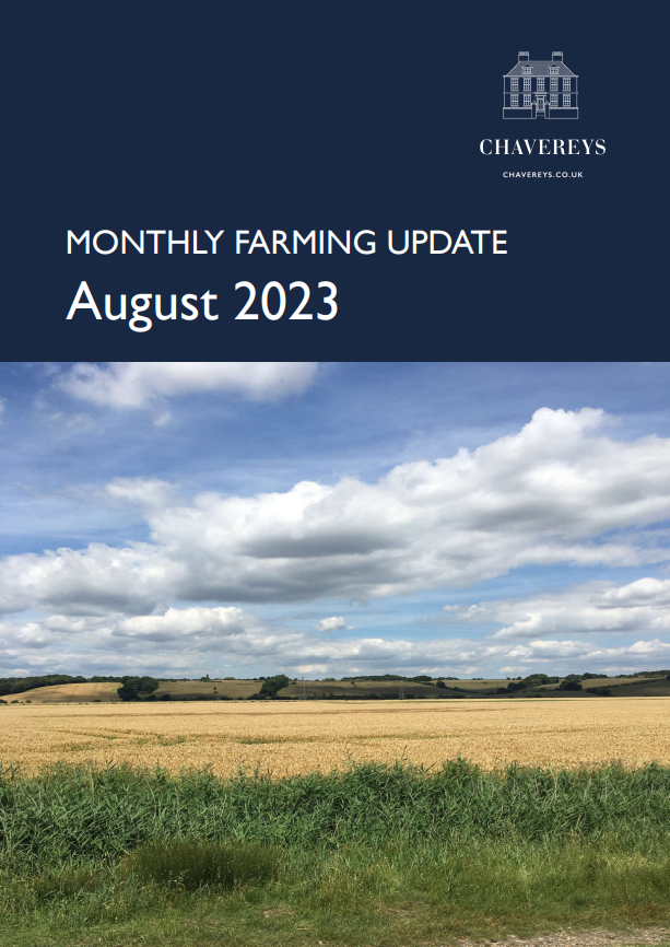 Chavereys tweet media