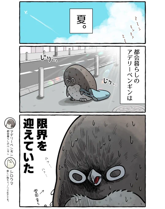 夏に限界を迎えたアデリーペンギン。(1/2)