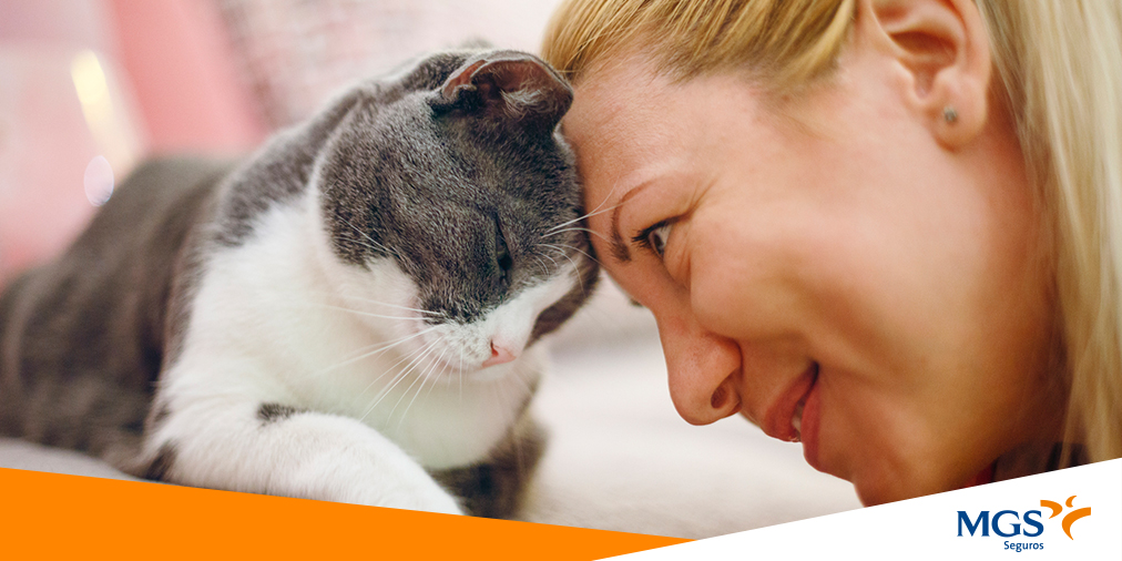 MGS_Seguros's tweet image. Aunque está extendida la idea de que los #gatos son más independientes de los humanos que los perros, lo cierto es que existen trucos para activar su inteligencia y mejorar nuestra #interacción con ellos🗣️🐈‍⬛

Te lo contamos 👇

#DiaInternacionaldelGato

🔗bit.ly/3DT6ZUF