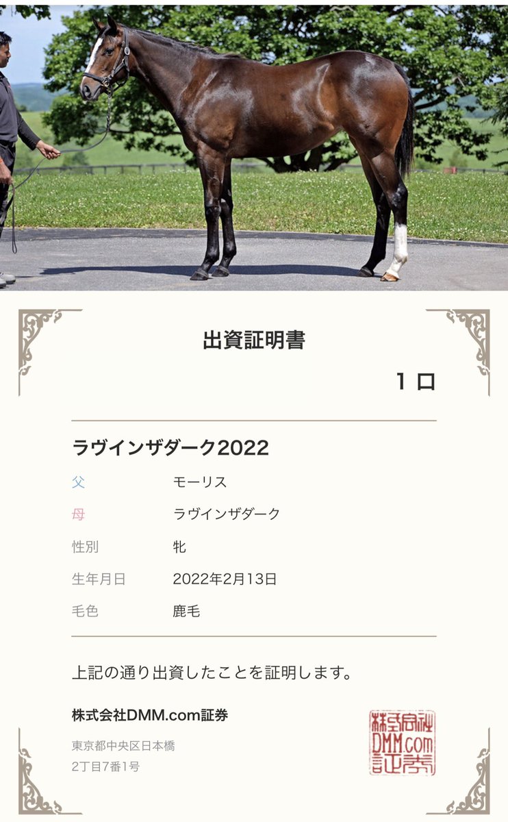 mosuama_'s tweet photo. ラヴインザダーク2022 無事出資完了しました
同じ方よろしくお願いします✌️✌️✌️ https://t.co/0l5Ec1ZFzY