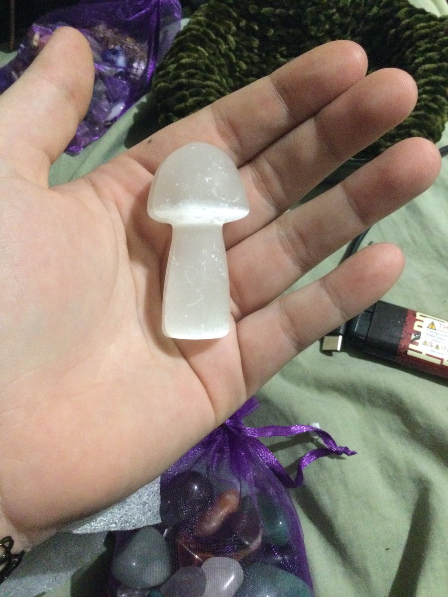 lucidoxide's tweet photo. Got more crystals today!! And a mushroom selenite to keep my moss bowl of crystals well cleansed and looking pretty #crystals https://t.co/Us0qdKCvpm