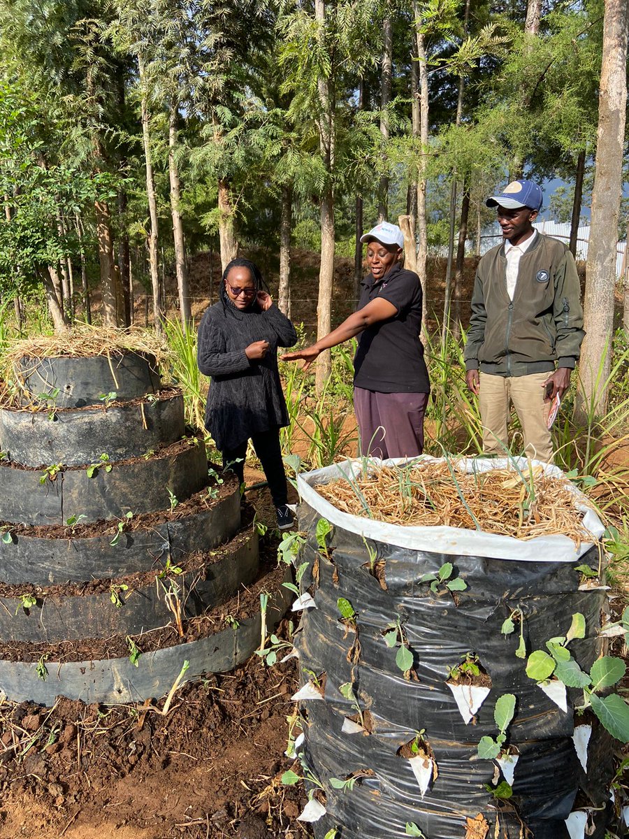 GROOTSKenya's tweet photo. Women have food variety through agroecological training.

Meet the incredible Baraka Farmers women group from Laikipia putting into practice their learnings from the Rural Women Cultivating Change #RWCC project.
#womeneconomicempowerment https://t.co/WRaH088c3x