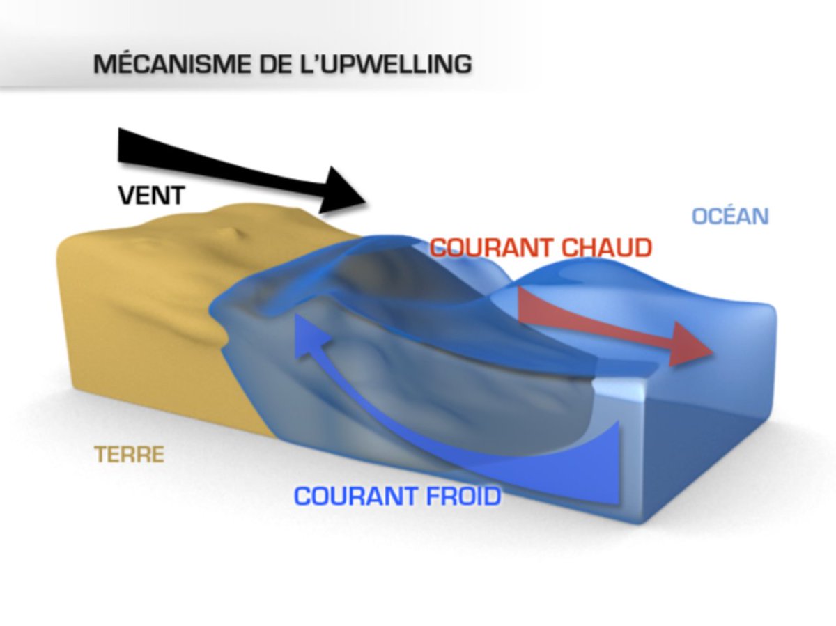 <a href="/silvano_trotta/">SILVANO TROTTA OFFICIEL</a> Mr Trotta,
Il s'agit d'un phénomène local d'upwelling qui existe depuis la nuit des temps. Les habitants de la côte méditerranéenne sont parfaitement habitués.
Merci d'arrêter de désinformer en nourrissant votre climatosceptisisme.
Un peu de science ne vous ferait pas de mal.