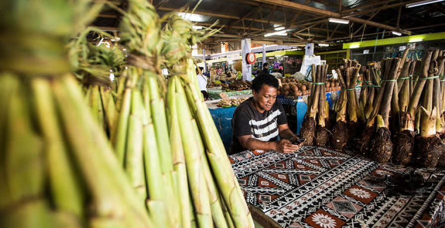 _MCII_'s tweet photo. 🌊🌴Exploring climate-related challenges in Fiji's farming &amp; fishing communities! Discover how our #PICAP study uncovers adaptation efforts and needs for disaster risk financing and insurance: https://t.co/jwYBBAS3ef
#CDRFI #ClimateResilience #Pacific #Fiji
@UNCDFdigital @UNUEHS https://t.co/JDoTSQsk5y