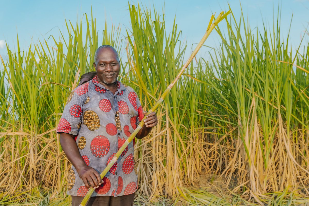 studio19tz's tweet photo. #NaneNane is a time to celebrate the hard work and dedication of farmers and agricultural workers.
We are honored to have worked with TADB @tadbtz in supporting this important sector.
#TellingAfricasStories #Studio19 #NaneNaneDay #HappyNaneNaneDay #Tanzania🇹🇿 https://t.co/nNn9GMCAcE