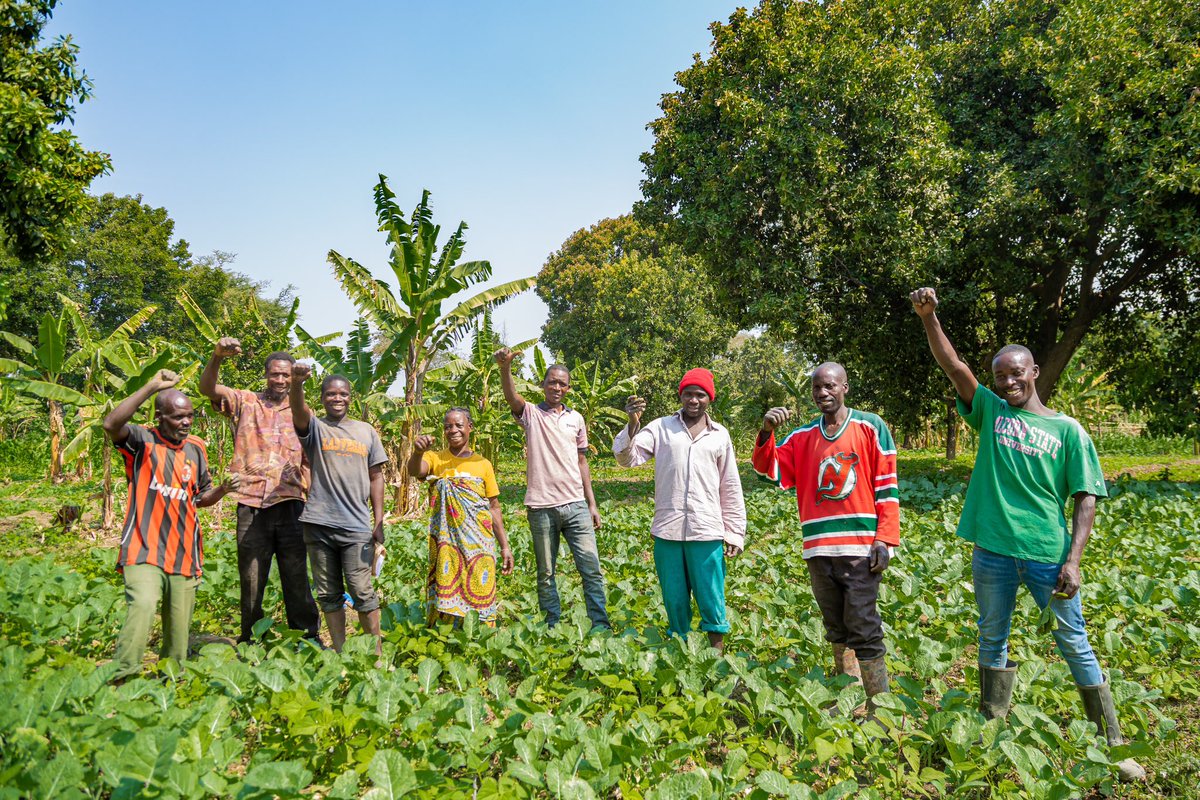 studio19tz's tweet photo. #NaneNane is a time to celebrate the hard work and dedication of farmers and agricultural workers.
We are honored to have worked with TADB @tadbtz in supporting this important sector.
#TellingAfricasStories #Studio19 #NaneNaneDay #HappyNaneNaneDay #Tanzania🇹🇿 https://t.co/nNn9GMCAcE