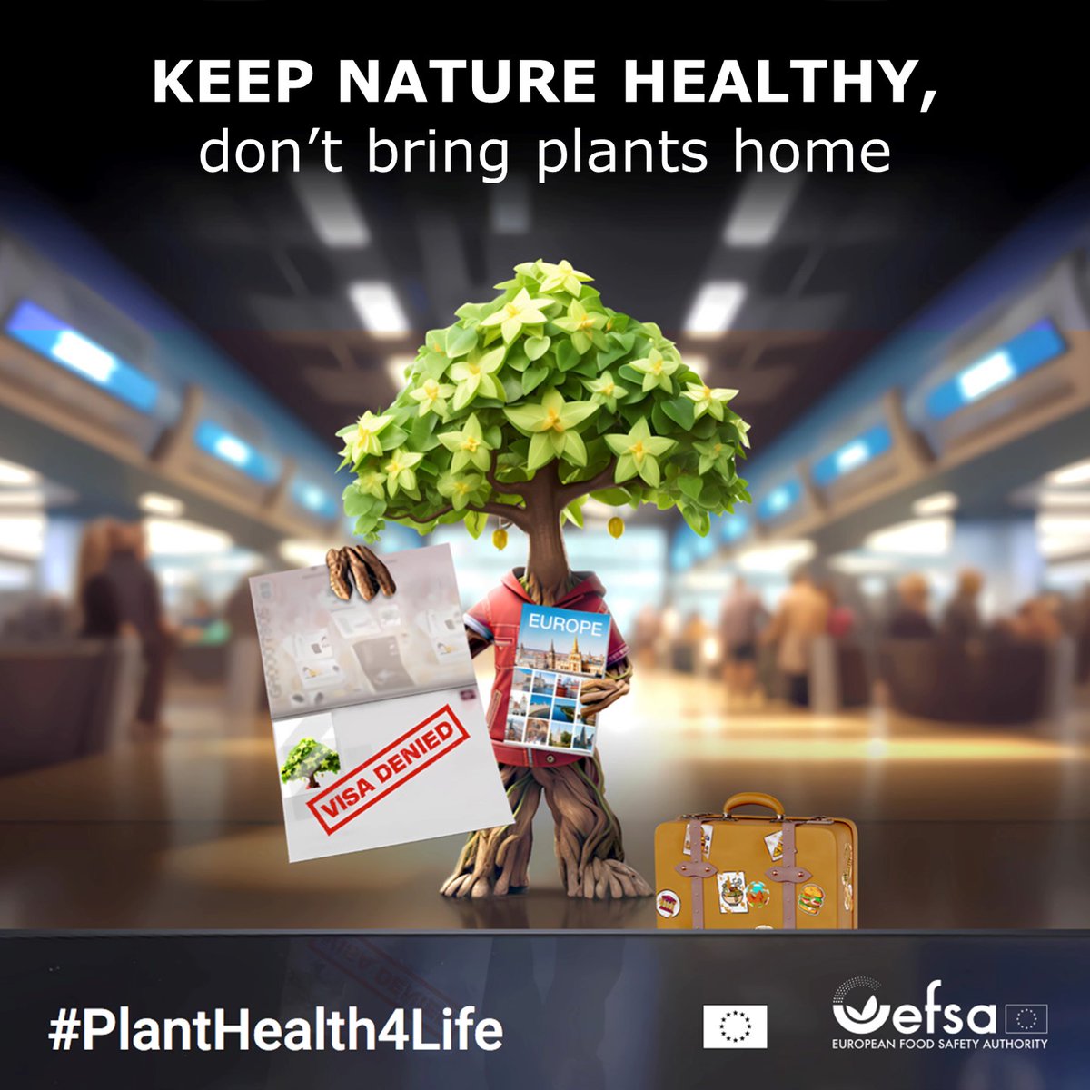 Travelling abroad on holiday🏖️⛵️, do not carry plants back home unless authorized. They could carry pests🪲🦗 that may affect crop production, #foodsecurity, the environment & economies. Join the @EFSA_EU #PlantHealth4Life campaign. Tell all about why #PlantHealth matters.