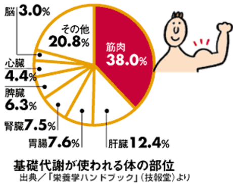 x_umatter's tweet photo. 「夏は牝馬♀」←実はこれ間違ってますという話

結論から言うと、夏は牝馬と考えるのではなく、馬体重を見たほうが良いです。

何故夏は牝馬が間違っていると言えるかの根拠は3つ
①牡馬と牝馬では平均馬体重に差がある
②体重を合わせたら牡馬と牝馬で同じような成績になる
③後述
＋何故、馬体重が重い馬は夏に成績が落ちるのか？

①牡馬と牝馬では平均馬体重に差がある
結論で述べたように、牡馬と牝馬ではそもそもの馬体重が違います。牝馬♀は平均すると450㎏くらい、牡馬♂は480近くあります。

夏に牝馬が有利になるというよりは、馬体重が重い馬が夏の成績が悪いため、重い馬の成績が落ちる分、軽い馬の成績が上がってくると考えられます。

そもそも馬体重は重いほど強い馬が多くなります。これはデータからも明らかです。

夏競馬になると、500㎏以上の強い馬の成績が落ちます。
↓500㎏以上の馬のみ抽出したデータ

逆に、寒い季節は、500㎏以上の馬の成績が良く、期待値が高いこともわかりますね。

②体重を合わせたら牡馬と牝馬で同じような成績になる

では、500㎏以上の馬で夏競馬のみを抽出して、牡馬♂と牝馬♀の成績を見比べてみましょう。

このように、体重の条件を合わせてやれば、牡馬でも牝馬でも夏競馬の成績はふるわないことがわかります。

よって、夏は牝馬という認識というよりは、馬を個別にみた時に馬体重がどれくらいあるのかに注目したほうが良いと言えるでしょう。

③そもそも牝馬という大きすぎる枠で括っても馬券には使えない

牝馬という枠で括るのはあまりにも大きく括り過ぎです。確かに、牡馬と牝馬という切り口で季節別に成績を見れば、夏に牝馬の成績が良くなるというデータはあります。ただし、それが本当に牝馬だからなのか？という視点は持ったほうが良いでしょう。

データに出てるからといって、必ずしも因果関係にあるかは分かりません。相関関係があるからといって、因果があるとは限らないのです。

何故、馬体重が重い馬は夏に成績が落ちるのか？

「夏は牝馬」という格言を鵜呑みにする前に、何故牝馬の成績が良いのかを考えたほうが良いでしょう。

私は、馬体重が重い馬＝筋肉量が多い馬だと考えています。筋肉というのは、非常に熱を産生しますので、夏の暑さと筋肉からの発熱で馬が体調を崩しやすいのではないか？と考えています。

そのため、牡馬と牝馬という括りではなく、その馬の筋肉量が多い馬は夏は体調に注視する必要ありと考えているわけです。

このツイートが良かったら、いいねやブックマークで保存しておいてください。
リツイートしてもらえると、なお嬉しいです。
質問等はリプで。