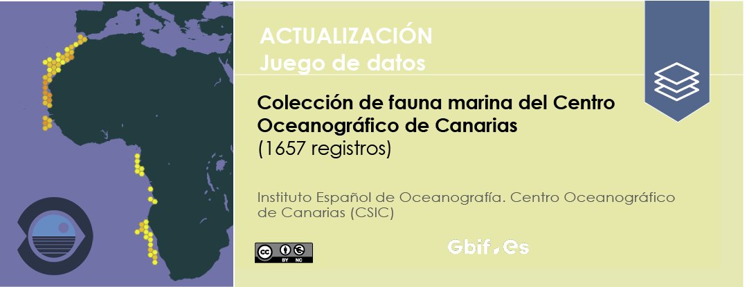 GbifEs's tweet photo. #Faunamarina africana y material como otolitos y escamas, mandíbulas, estatolitos de #cefalópodos, piel y mandíbulas de #condrictios y más de 15.000 imágenes en la colección del Centro Oceanográfico de Canarias:
▶️https://t.co/0Xp19MvcID
▶️https://t.co/YmZEIJu36F #CiteTheDOI https://t.co/Kjnu7Jm428