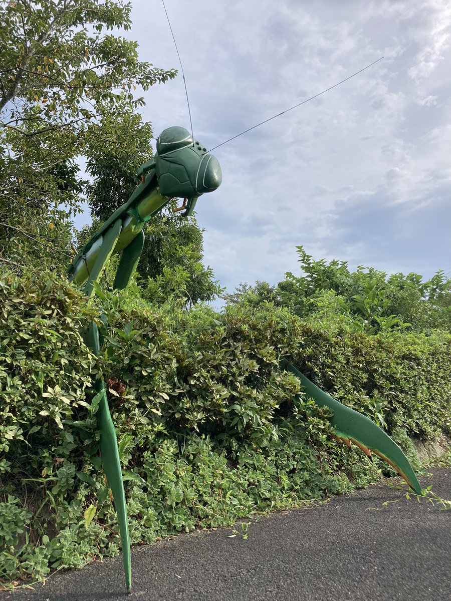 tabirakonchu's tweet photo. 明日は台風接近に伴い
『臨時休館』となります。

ご来園予定の皆様にはご迷惑おかけしますが、ご理解のほどよろしくお願いします。

たびら昆虫自然園🐞 https://t.co/7sm0ZZAlyu