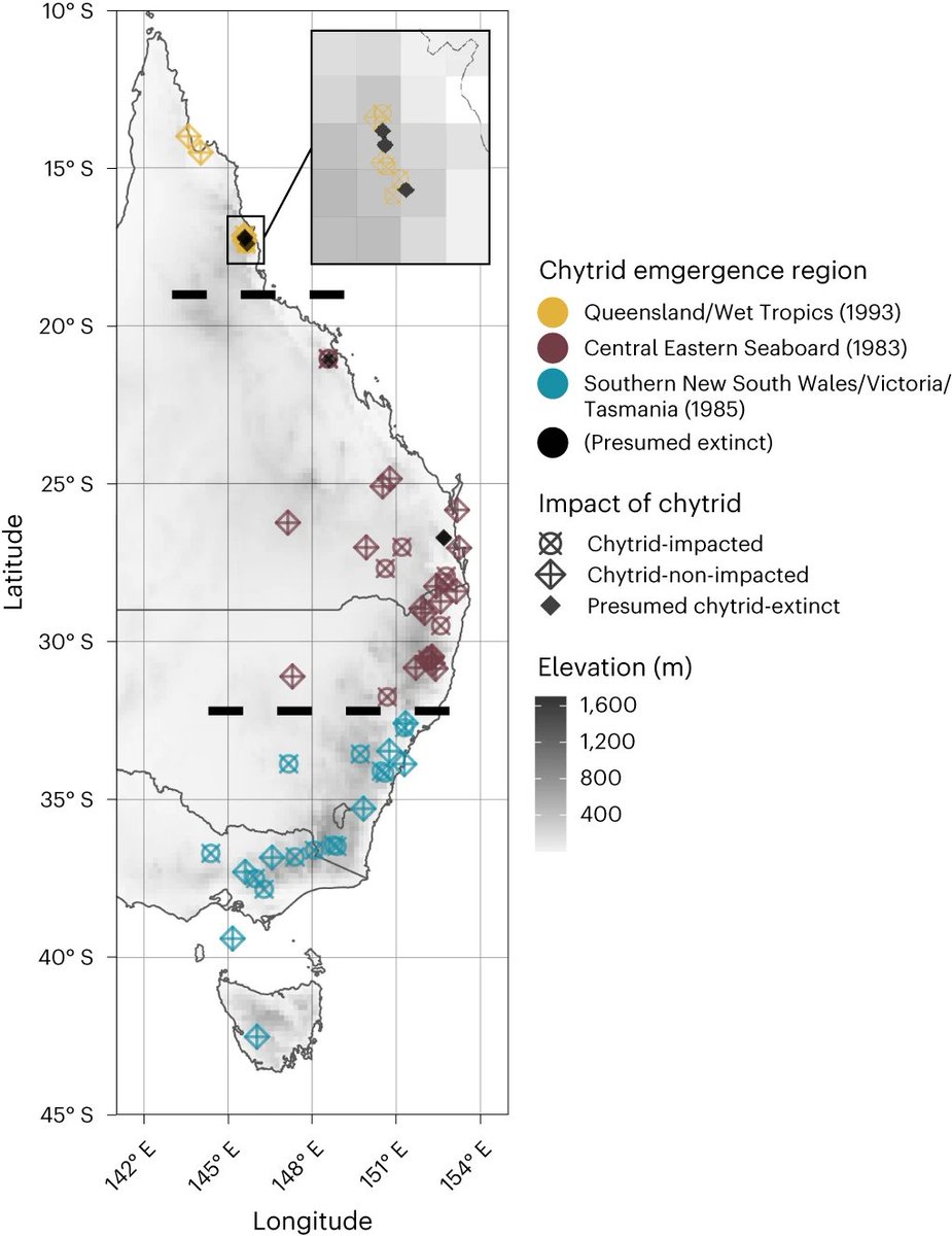 NatureEcoEvo (@natureecoevo) on Twitter photo An invasive pathogen drives directional niche contractions in amphibians rdcu.be/diN8A An invasive pathogen drives directional niche contractions in amphibians rdcu.be/diN8A