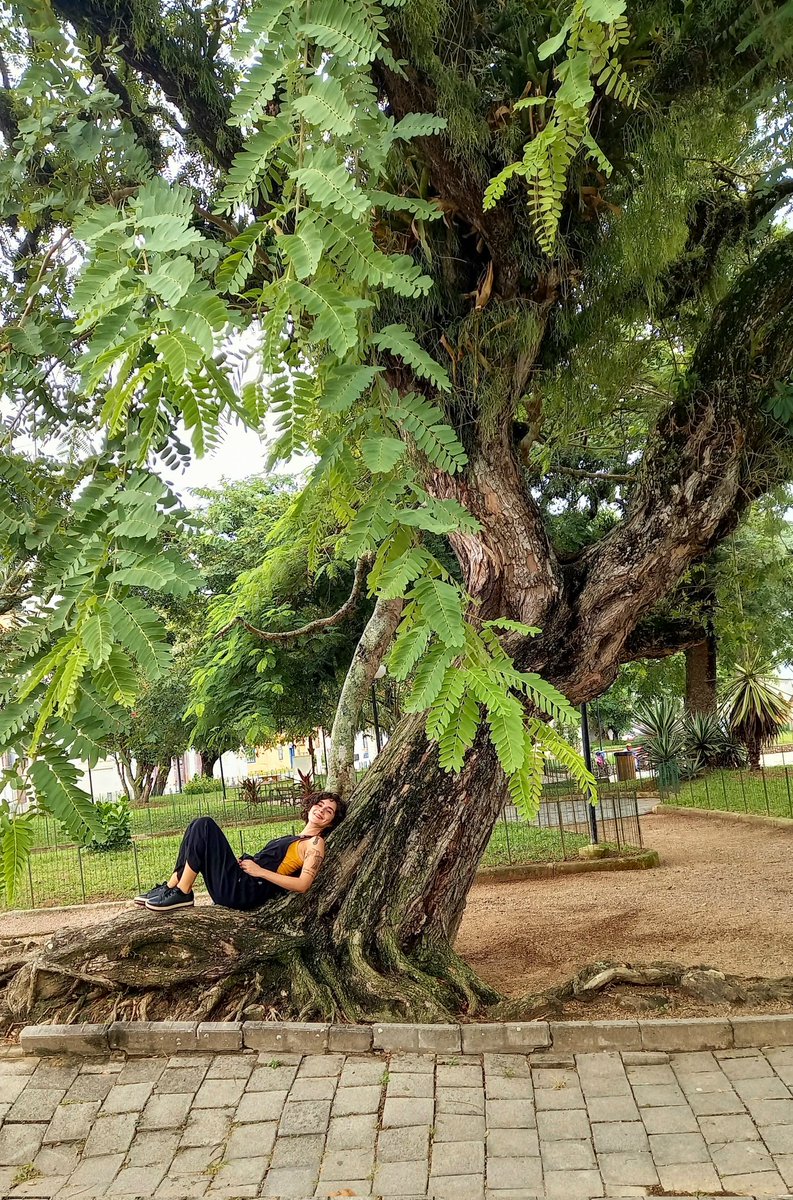 'Never say that there is nothing beautiful in this world anymore.  There is always something to marvel at in the shape of a tree, in the trembling of a leaf.' 🌳
#AlbertSchweitzer

#FelizMartesATodos #tuesdayvibe #tuesdaymotivations #goodmorning #BuenosDias #Bomdia #tree #arbol