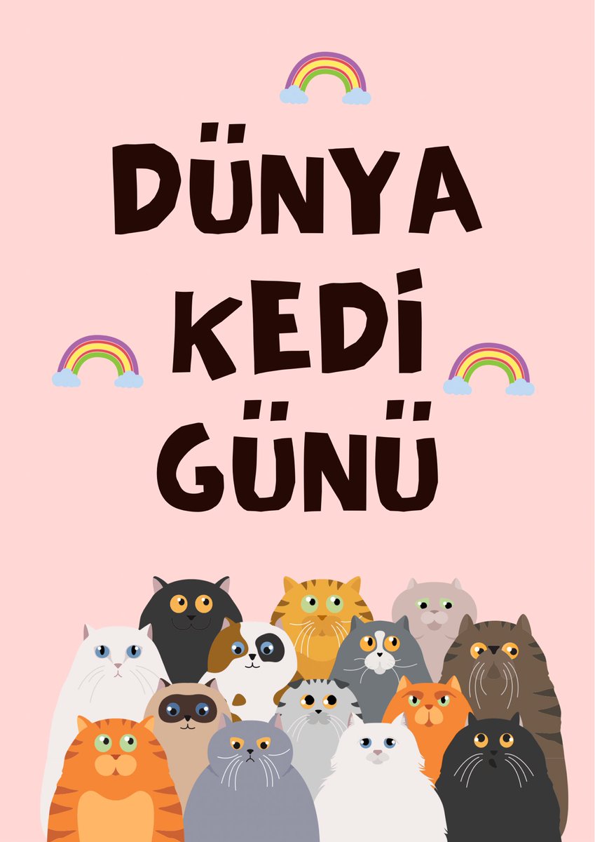 hacettepehaydok's tweet photo. Dünya Kedi Günü kutlu olsun 🎉💕 https://t.co/ff7S588aEF