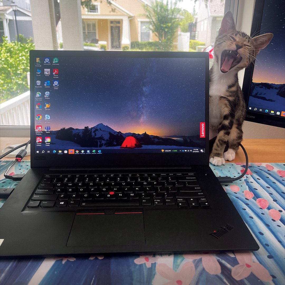 Behind every great work call is a very 
needy pet demanding attention. #InternationalCatDay 
#lenovo #qambertech #bahrainlaptop 

وراء كل اجتماع عمل، هنالك حيوان أليف يحتاج للرعاية والاهتمام! 
#اليوم_العالمي_للقطط
