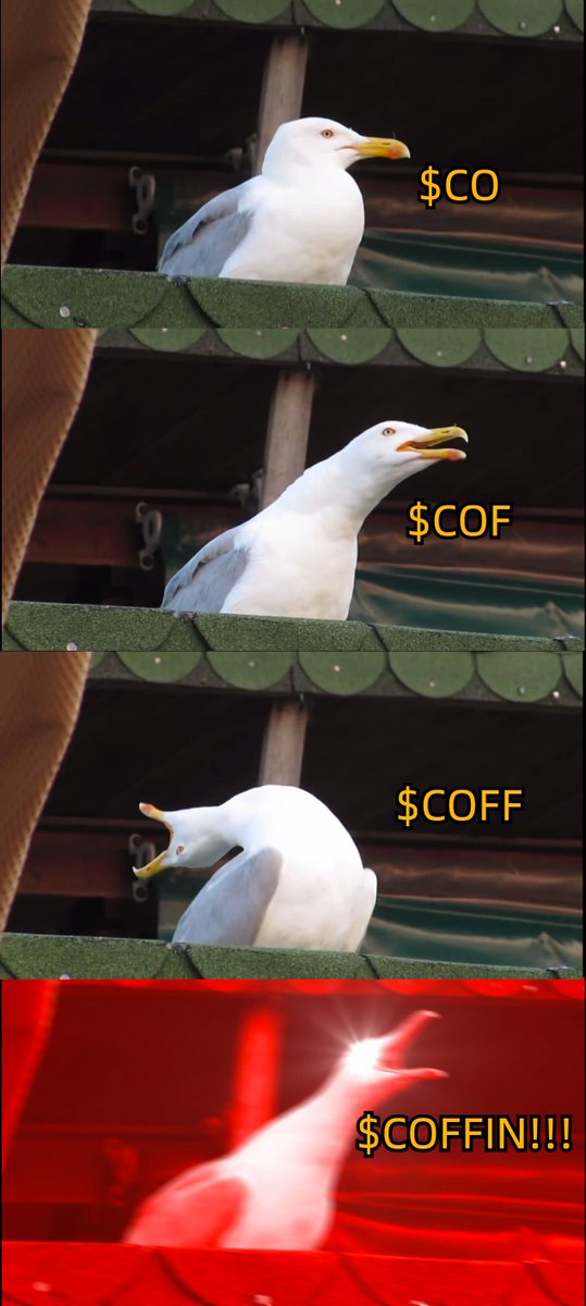 LOLDANCECOFFIN's tweet photo. $COFFIN !!!!!!!! https://t.co/l1kKNZlSMp
