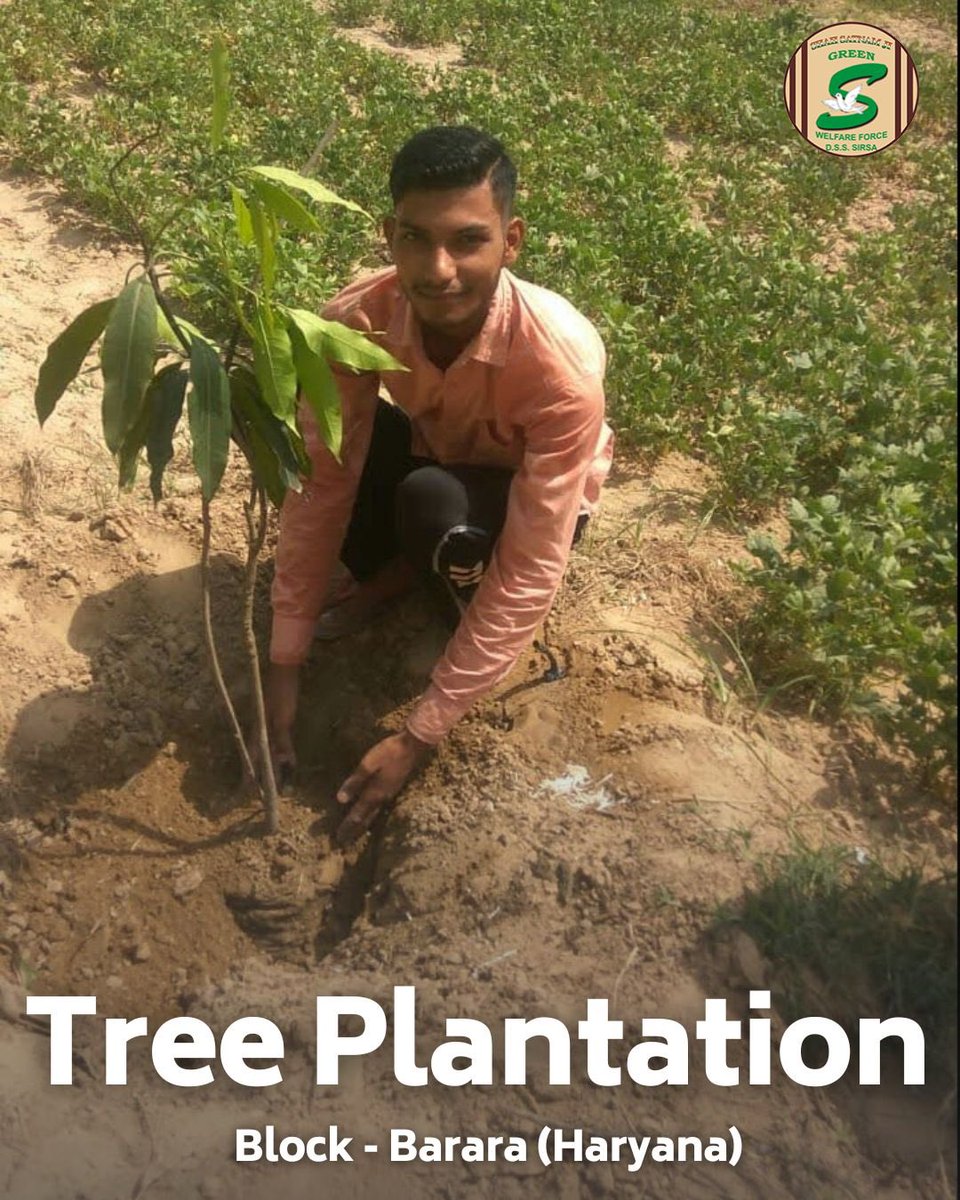 GreenSwelfares's tweet photo. Making a positive impact on the planet! Kudos to the dedicated Shah Satnam Ji Green 'S' welfare force Wing volunteers who plant trees 🌱and serve mother nature. Their efforts remind us that small act can create a big difference in building a sustainable future. #TreePlantation #DeraSachaSauda