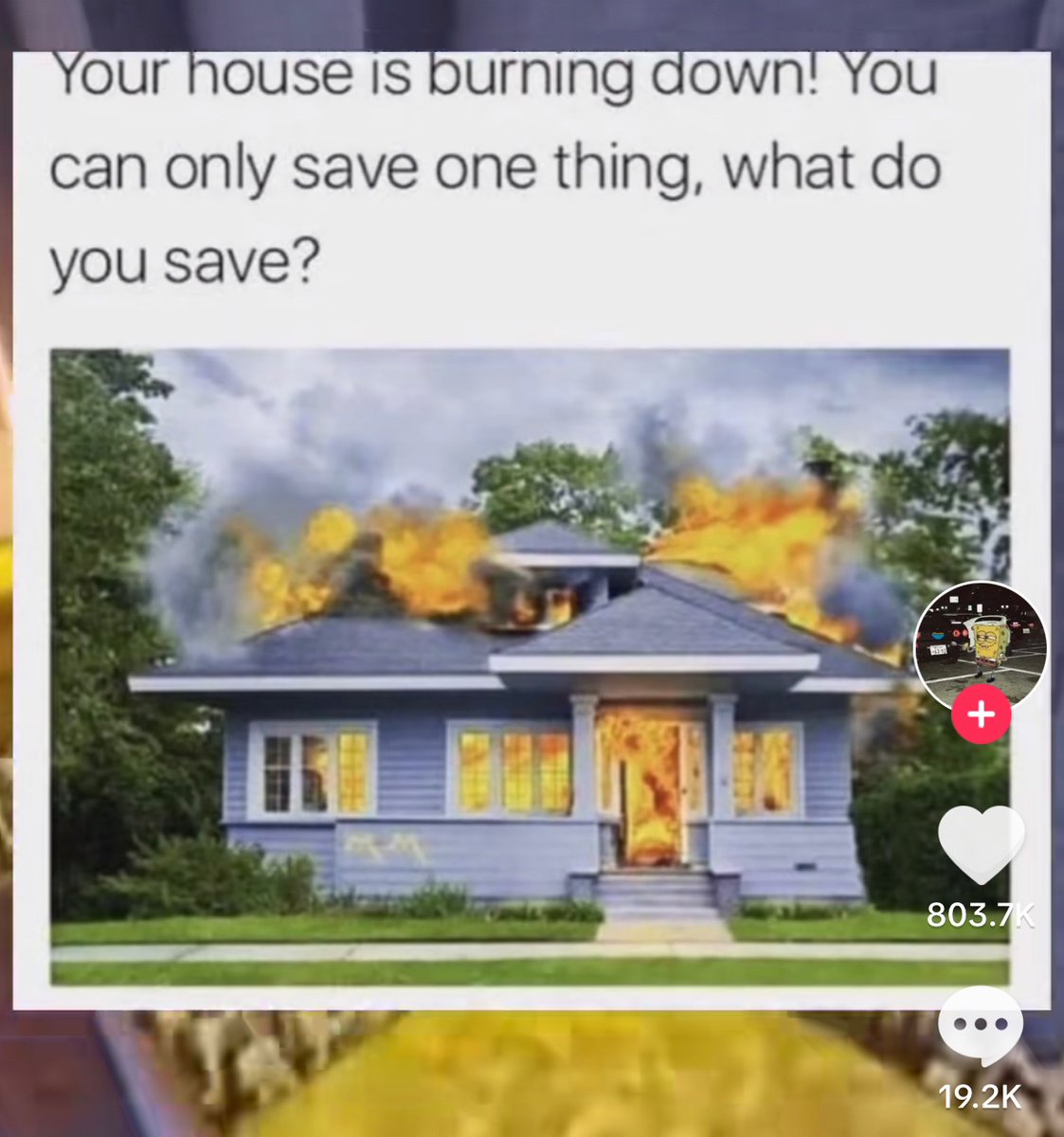 Wild TikToks tweet media