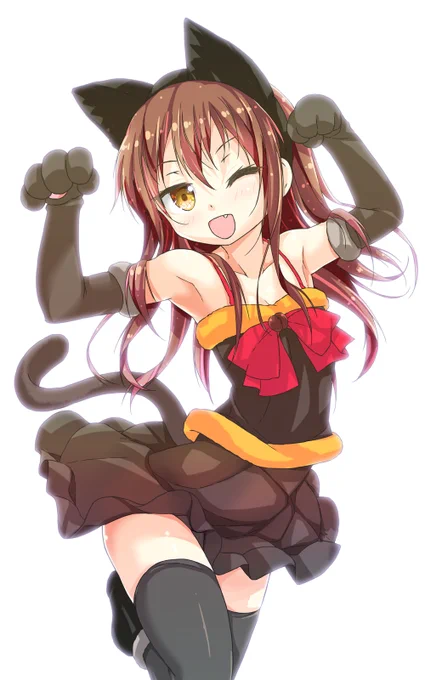 どっちの猫がお好きですか?  Which cat do you prefer?  #世界ねこの日 #世界猫の日