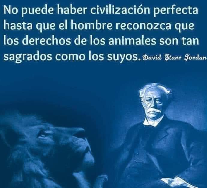 Oftalmo_Rivera's tweet photo. @JoseFerreiraj94 La triste paradoja es que la gorila salvó a un humano, mientras los humanos la condenaron a una prisión. Ningún animal merece vivir en cautiverio... 😔💔 https://t.co/pq9Cw5QFND