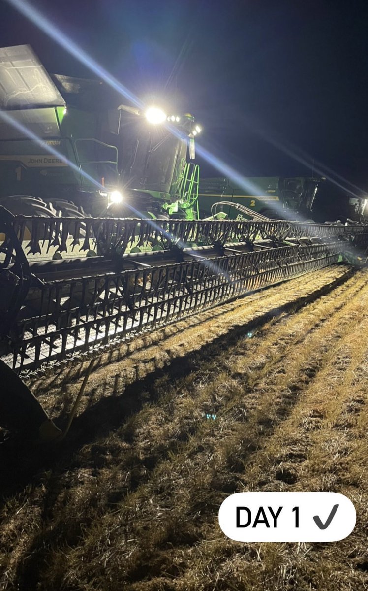 Brenda Walde tweet media