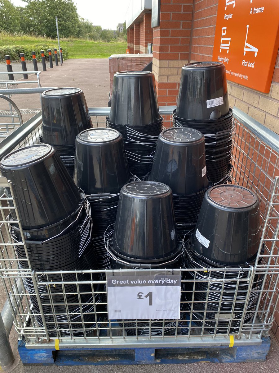 Sarah Hilton tweet media