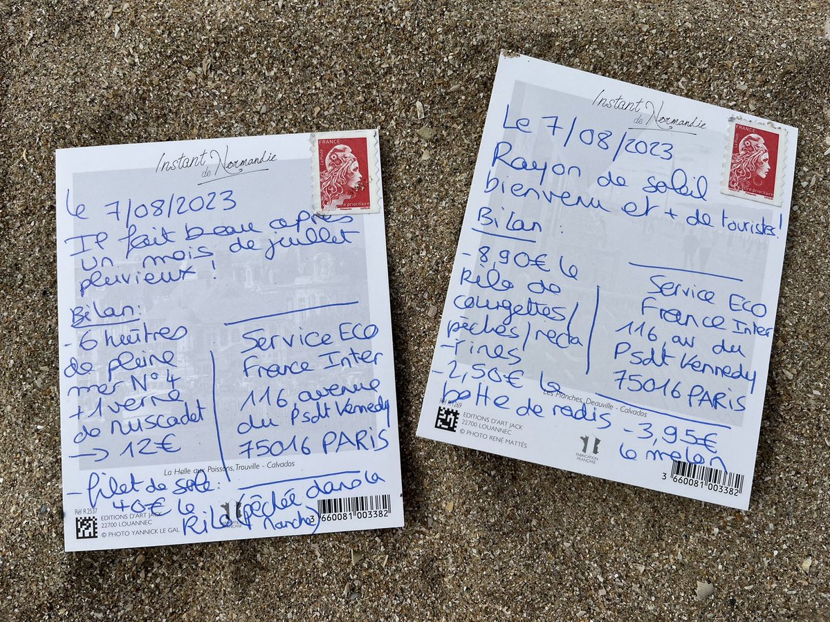 Olivia Cohen tweet media