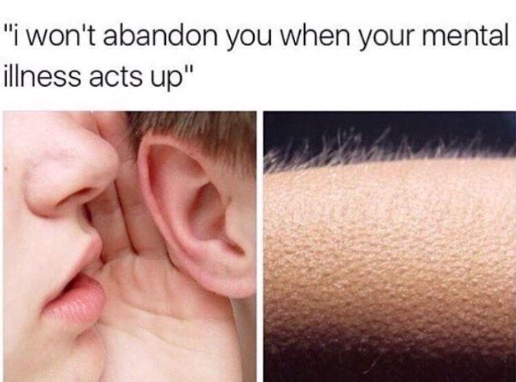 WholesomeMemes (@wholesomememe) on Twitter photo 