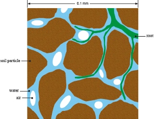 rainh2osystem's tweet image. #tilth &amp;gt; noun 1 cultivation of land; tillage. 2 the condition of tilled soil.
Tilth is a physical condition of soil, especially in relation to its suitability for planting or growing a crop. theorangegardener.org/topics/soil/ti…

rainwater.blog/2022/02/14/soi…