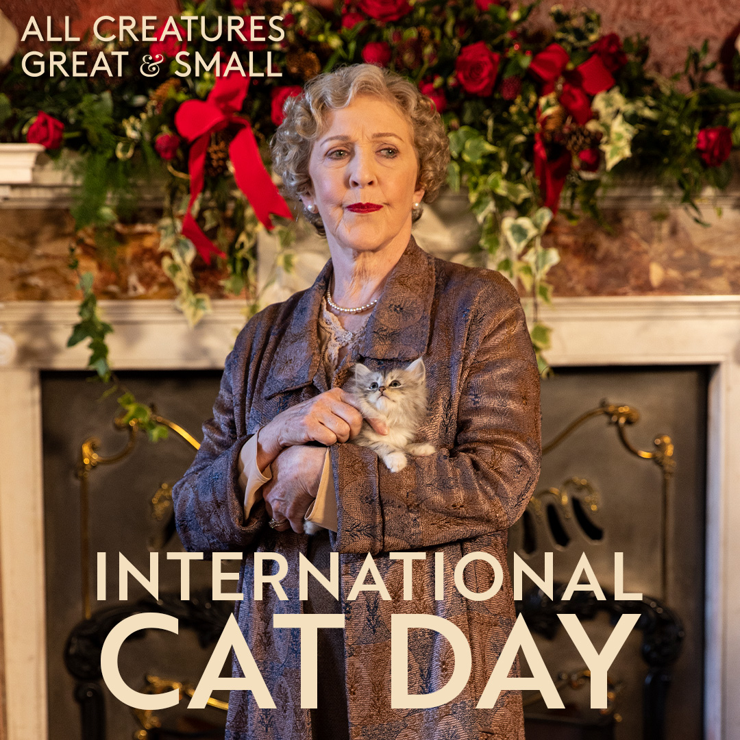 AllCreaturesTV's tweet photo. Happy #InternationalCatDay 🐈 

🐾 #ACGAS Cat Fact 🐾 All the adorable cats in the show are the cherished pets of animal handler Jill Clark from 1st Choice Animals, the specialists responsible for caring for all of our amazing animal actors! #AllCreaturesGreatAndSmall https://t.co/RHsZZBRo1F