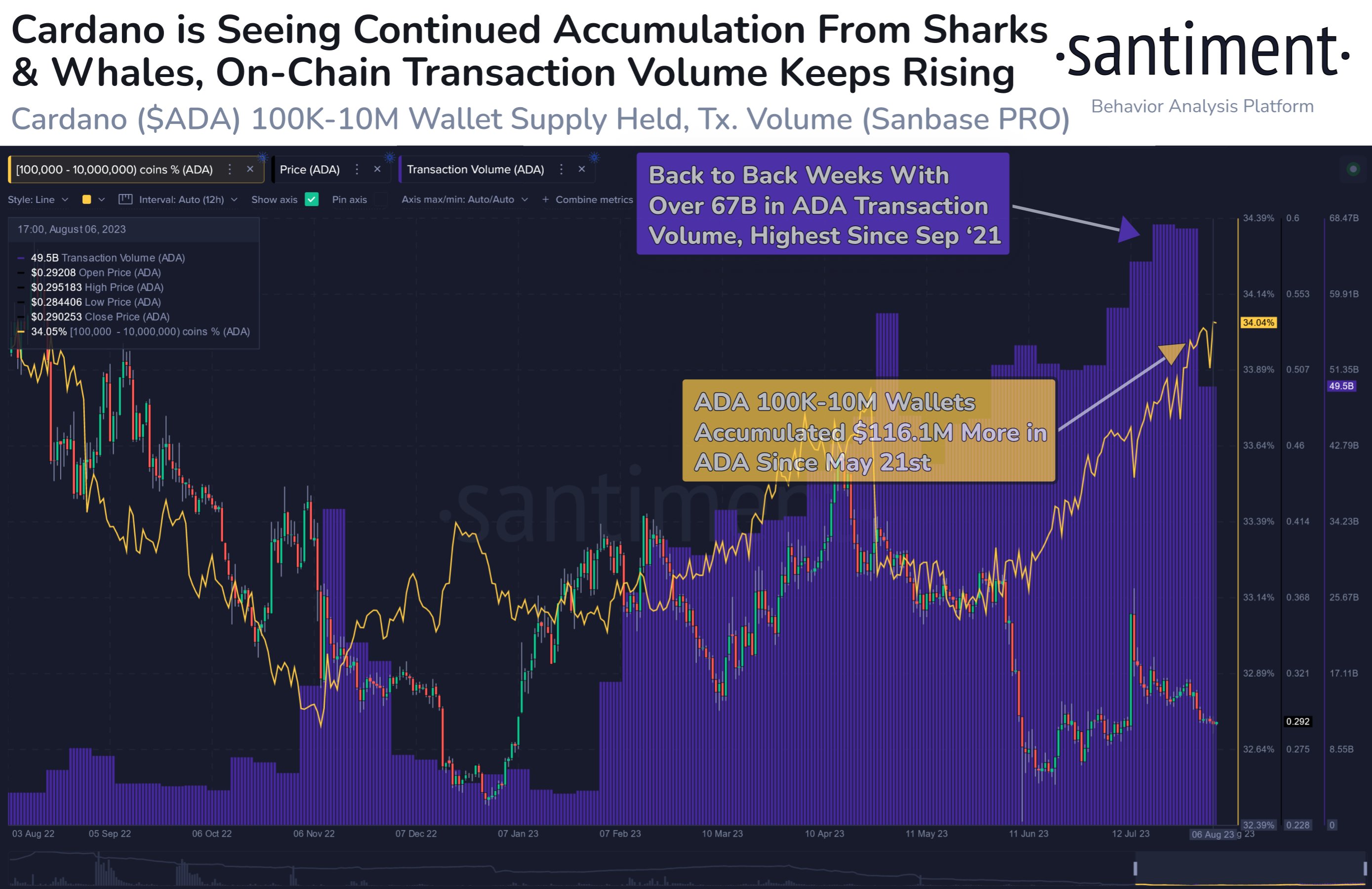  whales sharks cardano on-chain data continued buy 