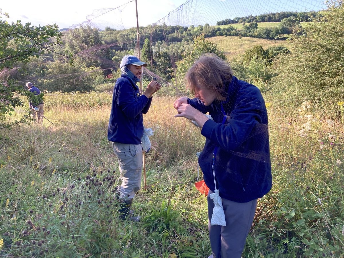 southnottsrg's tweet photo. Catching has been steady at our Summer ringing sites at Holme Pierrepont and Ramsdale Golf Club. Plenty of juv. warblers moving through. Read more here https://t.co/wWAoYeTrrb https://t.co/MIdE4VdikB