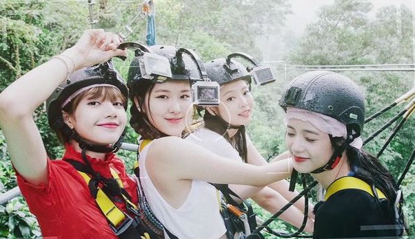 blackpink tweet media
