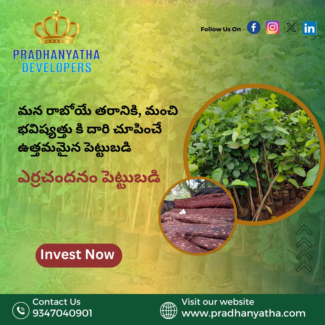 pradhanyathaD's tweet photo. మన రాబోయే తరానికి, మంచి భవిష్యత్తు కి దారి ��ూపించే ఉత్తమమైన పెట్టుబడి - ఎర్రచందనం పెట్టుబడి.
.
.
For more details, contact us at +91 9347040901, 9182173267, or
Visit: https://t.co/6rMYkedLCb
.
.
#redsandalwood #sandalwood #sandalwoodfarminginindia #redsandalwoodfarminginindia https://t.co/AIKivNBLw0