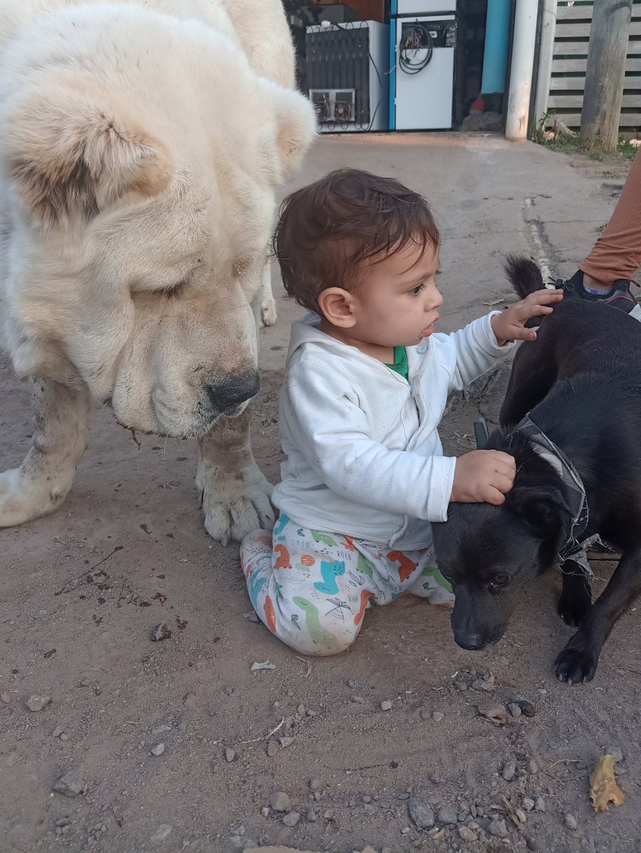 JHoneker's tweet photo. Hace mucho no ando por acá. Contarles que soy papá otra vez https://t.co/ckEPy3K50p