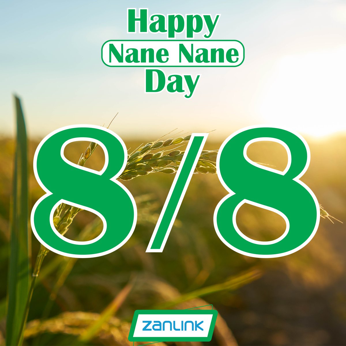 zanlink_l's tweet photo. To recognize the important contribution that farmers make to our lives, we wish everyone a Happy Nane Nane Day! #agriculture #farmers #zanzibar #zanlink https://t.co/WGXnMYc44l