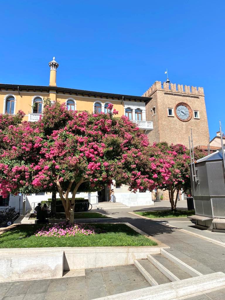SimonVenturini's tweet photo. #MESTRE • I due #alberi di Piazza Ferretto al loro massimo splendore! 

In questi giorni le piante all'ombra della #TorreCivica regalano un colpo d'occhio colorato e di sicuro effetto. https://t.co/koBB0t4bQO