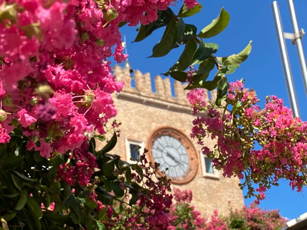 SimonVenturini's tweet photo. #MESTRE • I due #alberi di Piazza Ferretto al loro massimo splendore! 

In questi giorni le piante all'ombra della #TorreCivica regalano un colpo d'occhio colorato e di sicuro effetto. https://t.co/koBB0t4bQO