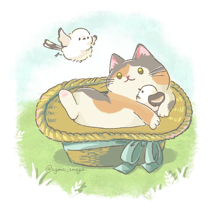 #世界猫の日 によせて すべての猫が幸せに生きることができますように