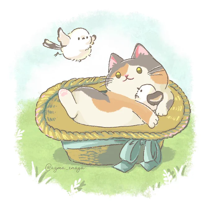 #世界猫の日 によせて すべての猫が幸せに生きることができますように
