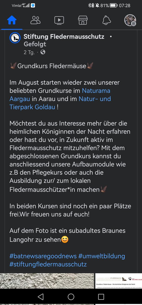 GRefurinn's tweet photo. I'm sad I'm not living in Switzerland anymore! 🥺 I wanna do this!! 🦇 https://t.co/7d6c3OcOta