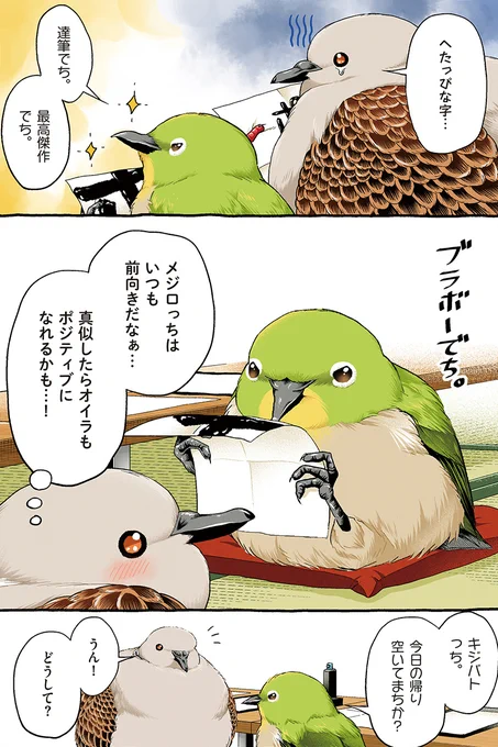 一緒に楽しみたいでち🔥  #キジバトくん日記 その12