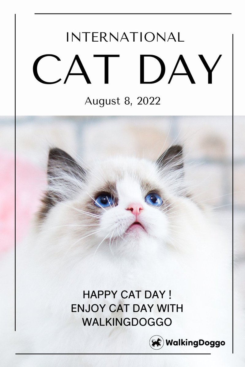 🐈 Happy International Cat Day 

🍢Come and Buy some cat's product through 
        WalkingDoggo in the near future

📕 For more information 
        Visit : Walkingdoggo.io

#WalkingDoggo #W2E #Earn #points #dApp #doglovers #petlovers #dApp